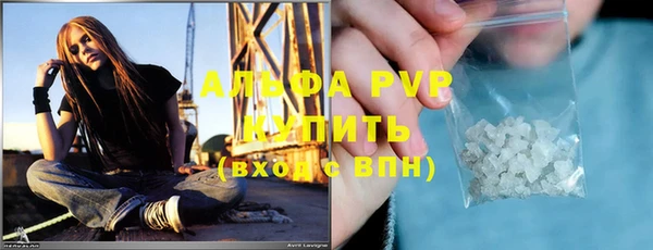 прущие крисы Белокуриха