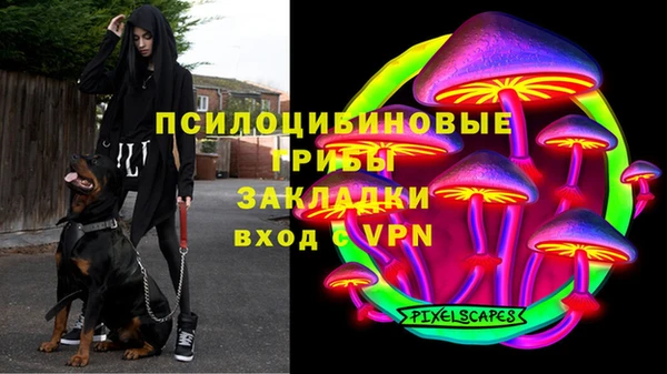 прущие крисы Белокуриха