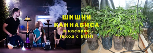 прущие крисы Белокуриха