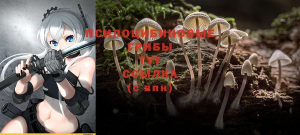 PSILOCYBIN Зерноград