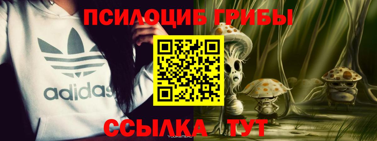 Псилоцибиновые грибы мицелий  Вход с VPN  Надым 